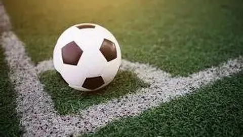 PT真人视讯 产品 120043 nl1